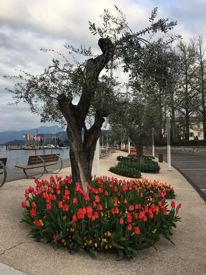 Caba Holiday Bardolino D'Annunzio Buitenkant foto